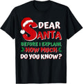 100% Cotton 2024 Funny Christmas Shirts Adults Santa I Can Explain T-Shirt Hoodie, Sweatshirt | GrindPrints.com