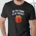 ARE YOU STARING AT MY PACKAGE T Shirt, Christmas Cotton Menswear Hoodie, Sweatshirt | GrindPrints.com