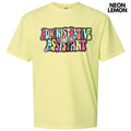 Administrative Assistant Groovy Comfort Colors T-Shirt 'NLB' Hoodie, Sweatshirt | GrindPrints.com