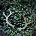 Antler Brass Necklace (version 1.0) T-Shirts, Hoodie, Sweatshirt | GrindPrints.com
