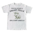 Are You A Smart Fella Or Fart Smella Vintage Style Shirt, Retro Cartoon T Shirt, Weird T Shirt, Meme T Shirt, Cabybara...