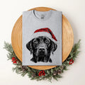 Black Lab, Santa, Labrador Dog, Christmas, Dog Lover, Pet T-Shirt, Soft Style Tee, Women's Graphic Tshirt Hoodie, Sweatshirt
