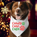 Candy Cane Cutie Bandana, Christmas Dog Bandana, Dog Owner Xmas Neck Scarf, Puppy Holiday Bandana, Pets Lover Christmas...