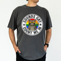 ChicCotton Sounds Gay Count Me In Comfort Colors Graphic Tee, Pride Month T-shirt For Men, Funny Raccoon Support LGBT...