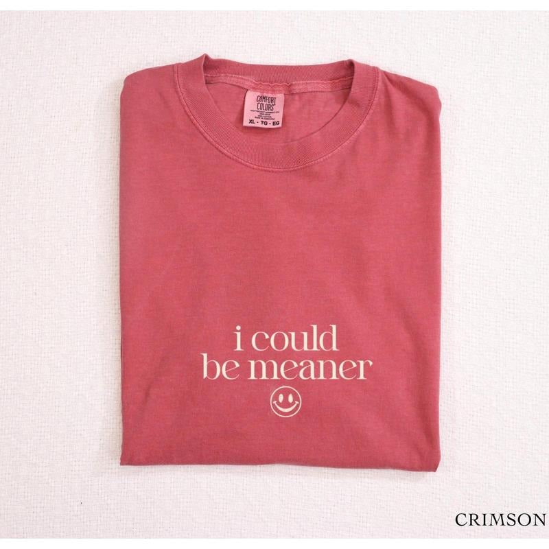 Comfort Colors I Could Be Meaner Shirt Funny Sarcastic Quote Mean Friend Spicy Attitude T-Shirts, Hoodie, Sweatshirt