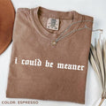 Comfort Colors I Could Be Meaner T-Shirt, Sarcastic T-Shirt, Funny Humor T-Shirt, Sarcasm Tee, Funny Quote TShirt Hoodie,...
