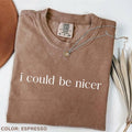 Comfort Colors I Could Be Nicer T-Shirt, Funny Tee, Sarcastic Small Text T-Shirt, Sassy Graphic Tee for Women Hoodie,...