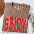 Comfort Colors Spicy T-shirt, Sassy Tee, Sarcastic Tee, Funny, Varsity Letter, Extra Spicy, Adult Humor T-shirt, Gifts...