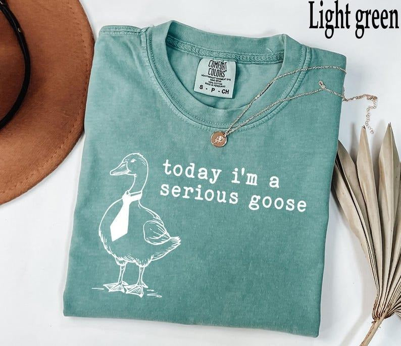 Comfort Colors Today I'm a Serious Goose Shirt, Funny Silly T-Shirt, Funny Goose Tee, Goose Lover TShirt, Meme Tshirt,...