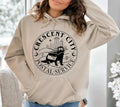 Crescent City Postal Service Hoodie, House of Earth and Blood Shirt, Crescent City Otter Sweatshirt, SJ Maas Crescent...