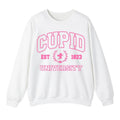 Cupid University Sweatshirt, Cute Valentine's Day Sweatshirt For Men And Women, Valentine's Day Trendy Sweatshirt...