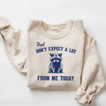 Don't Expect A Lot From Me Today Sweatshirt, Funny Crewneck, Sarcastic Raccoon Shirt, Retro Graphic Tee, Trendy Meme...