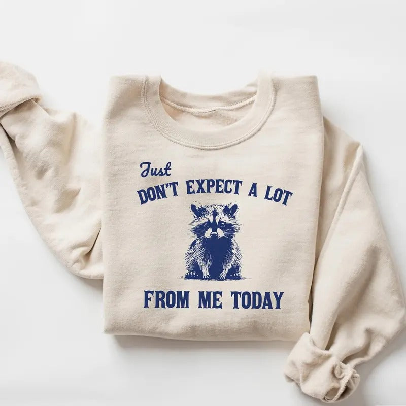 Don't Expect A Lot From Me Today Sweatshirt, Funny Crewneck, Sarcastic Raccoon Shirt, Retro Graphic Tee, Trendy Meme...