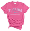 Florida The Sunshines State Tee - Florida Tshirt - T-shirt for summer