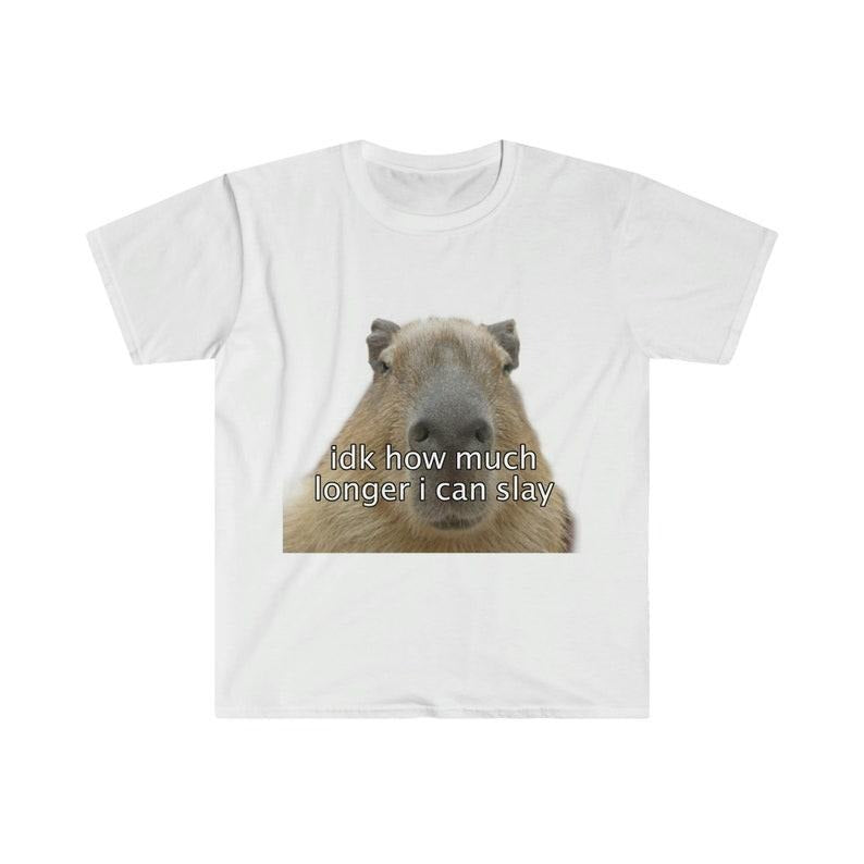 Funny Meme Shirt, Capybara "idk how much longer i can slay" Tee, Gift Unisex T-Shirt Hoodie, Sweatshirt | GrindPrints.com