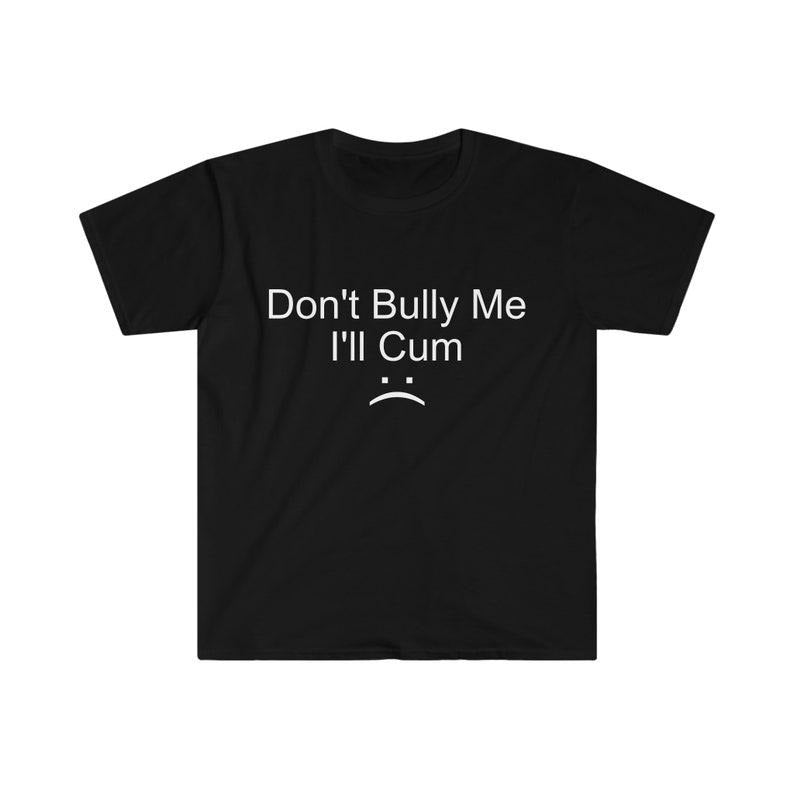 Funny Meme Shirt, Don't Bully Me Tee, Gift Unisex T-Shirt Hoodie, Sweatshirt | GrindPrints.com