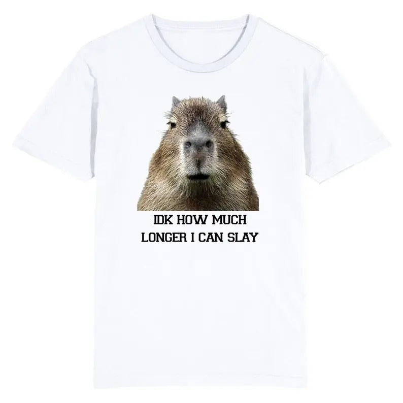 Funny Meme Shirt, IDK How Much Longer I Can Slay Capybara Tee, Gift Unisex T-Shirt Hoodie, Sweatshirt | GrindPrints.com