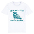 Funny Meme Shirt, It Is What It Is And It Is Not Great Racoon Tee, Minimalistic Gift Unisex T-Shirt Hoodie, Sweatshirt