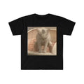 Funny Meme Shirt, Kitty Cat Taking a Poop Kitten Joke Tee, Gift Unisex T-Shirt Hoodie, Sweatshirt | GrindPrints.com