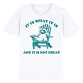 Funny Meme Shirt Raccoon Is What Is Is Not Great T-Shirts, Hoodie, Sweatshirt