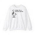 Funny Meme Shirt, Today I'm A Serious Goose Sweatshirt, Funny Silly Graphic Sweatshirt, Cute Goose Lover Gifts Hoodie