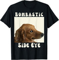 Funny Meme Shirts For Men, Bombastic Side Eye Funny Dog Meme Sarcastic Saying T-Shirt Menswear Top Hoodie, Sweatshirt