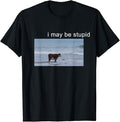 Funny Meme Shirts For Men, I May Be Stupid Funny T-Shirt Menswear Top Hoodie, Sweatshirt | GrindPrints.com