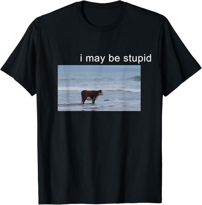 Funny Meme Shirts For Men, I May Be Stupid Funny T-Shirt Menswear Top Hoodie, Sweatshirt | GrindPrints.com