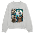 Funny Meme, Three Raccoons Modelo Vintage Sweatshirts, Retro Moon Sweatshirt, Raccoon Lovers, Funny Raccon, Unisex...