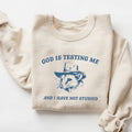 God Is Testing Me and I Have Not Studied Sweatshirt T-Shirts, Hoodie | GrindPrints.com