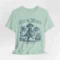 Gulf of Mexico Funny Pirate Cat Shirt, Golfo de México Retro Vintage Art Shirt, Gulf of Mexico Cat Shirt, Gulf of Mexico...