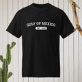 Gulf of Mexico Shirt, Gulf of Mexico Classic Tee Shirt, Political Protest Tee, Gulf Coast Shirt, Liberal Gift Tee Hoodie,...