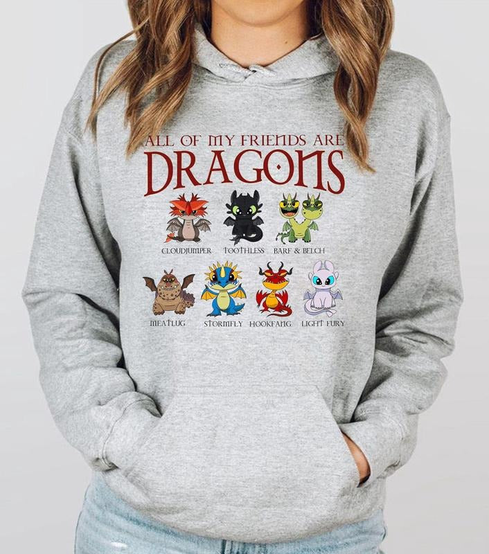 How To Train Your Dragon Shirt, Hidden World Tee, Toothless Friend Shirt Hoodie, Sweatshirt | GrindPrints.com