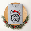 Husky Santa Dog Dog Lover Pet Soft T-Shirts, Hoodie, Sweatshirt