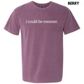 I Could Be Meaner Comfort Colors T-Shirt 'NLB' Hoodie, Sweatshirt | GrindPrints.com