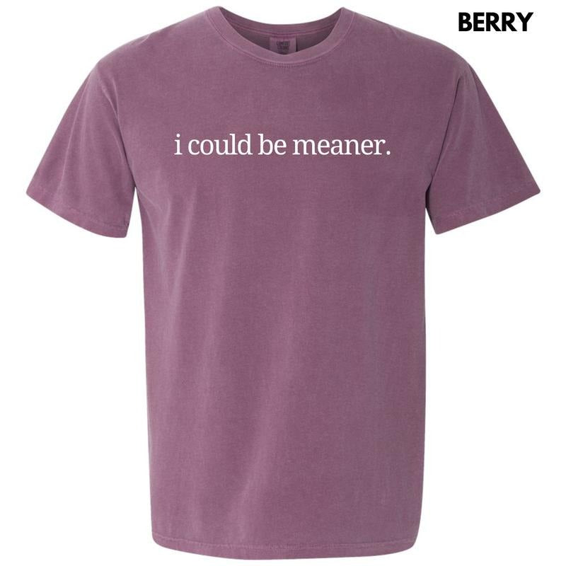 I Could Be Meaner Comfort Colors T-Shirt 'NLB' Hoodie, Sweatshirt | GrindPrints.com