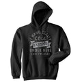 I Have Really Cool Tattoos Under Here But Im Cold Unisex Hoodie Funny Tattoo Joke Novelty Sweatshirt Funny Hoodies Funny...