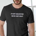 I'M NOT GASLIGHTING YOU'RE JUST CRAZY T Shirt, Unisex Cotton, Funny T Hoodie, Sweatshirt | GrindPrints.com
