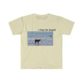 I May Be Stupid Cow On Beach Funny Meme Tshirt  sweater Hoodie, Sweatshirt | GrindPrints.com