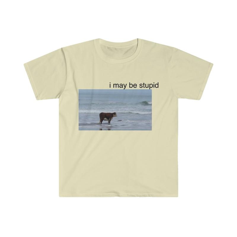 I May Be Stupid Cow On Beach Funny Meme Tshirt  sweater Hoodie, Sweatshirt | GrindPrints.com