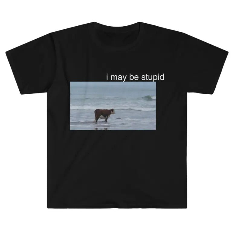 I May Be Stupid Cow on Beach Funny Meme TShirt Hoodie, Sweatshirt | GrindPrints.com