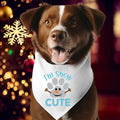 I'm Snow Cute Dog Bandana, Christmas Dog Bandana Gift, Puppy Dog Bandana, Pet Owner Bandana, Winter Furry Baby, Dog Mom...