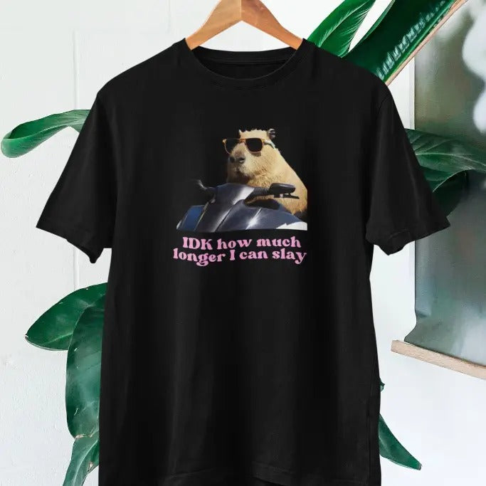 IDK How much longer I can slay T-shir, Funny Capybara Slay T-shirt Hoodie, Sweatshirt | GrindPrints.com