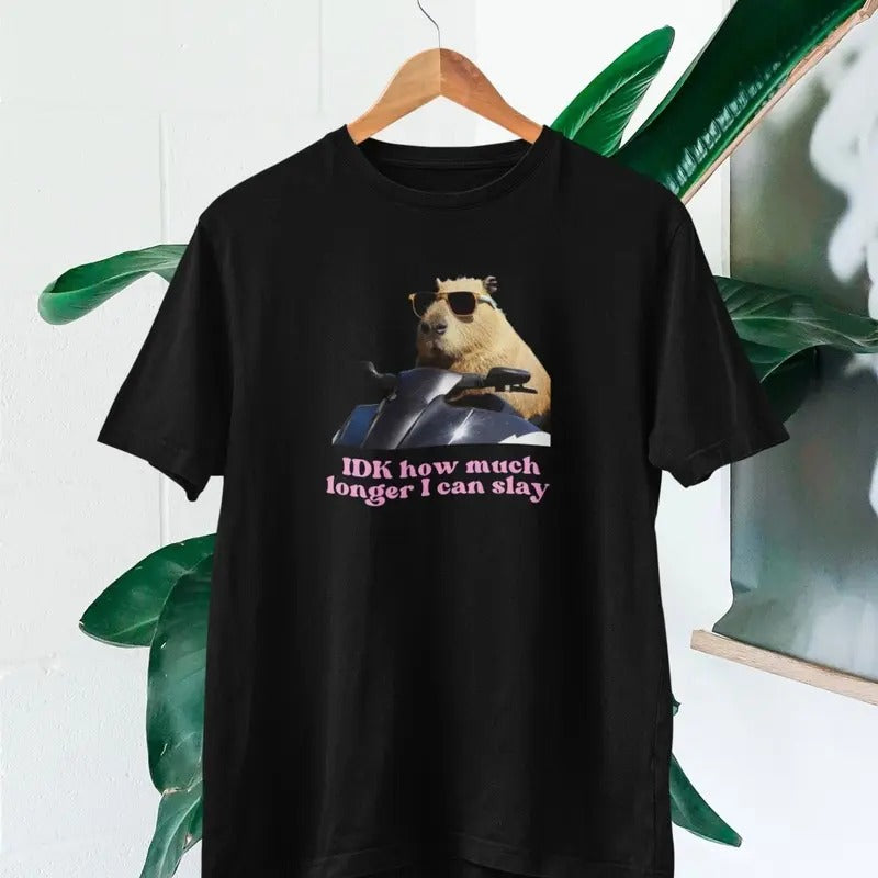 IDK How much longer I can slay T-shirt | Slay T-shirt | Funny top | TikTok fans Hoodie, Sweatshirt | GrindPrints.com