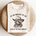 It Is What It Is And It Is Not Great Shirt, Funny Raccoon Shirts, Trash Panda, Raccoon Lover, Gift For Women and Man...
