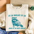 It Is What It Is And It Is Not Great Sweatshirt, Retro Vintage Hoodie, Funny Raccoon Shirt, Meme T Shirt, Cartoon T...