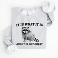 It Is What It Is And It Is Not Great, Raccoon, Funny, Aesthetic Sweatshirt T-Shirts, Hoodie | GrindPrints.com