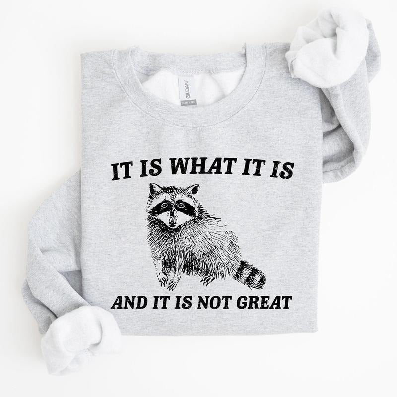 It Is What It Is And It Is Not Great, Raccoon, Funny, Aesthetic Sweatshirt T-Shirts, Hoodie | GrindPrints.com