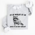 It Is What It Is And It Is Not Great, Raccoon, Funny, Aesthetic Sweatshirt Casual Cotton T-Shirts, Hoodie | GrindPrints.com