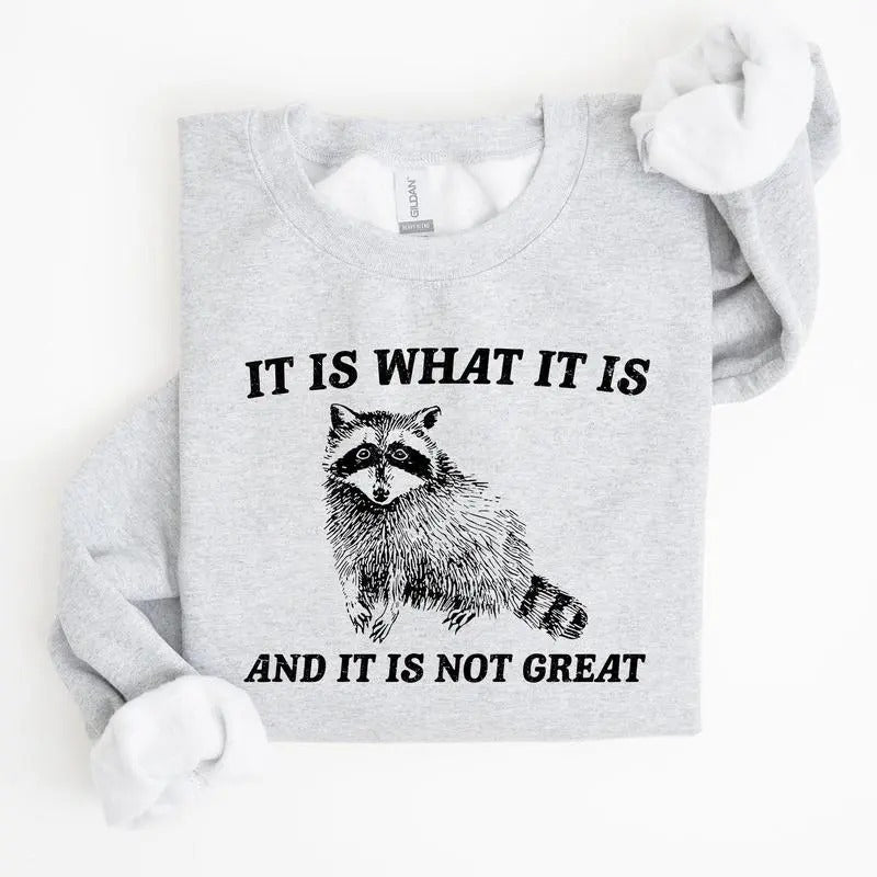 It Is What It Is And It Is Not Great, Raccoon, Funny, Aesthetic Sweatshirt Casual Cotton T-Shirts, Hoodie | GrindPrints.com